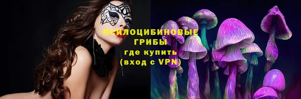 ешки Абаза