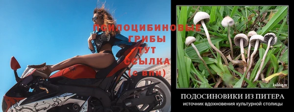 ешки Абаза