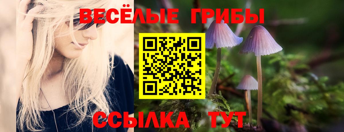 купить наркотики цена  Вход с VPN  Карталы  Галлюциногенные грибы Psilocybe 